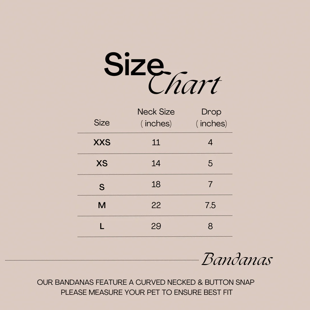 TRICKS FOR TREATS- Snap On Bandana