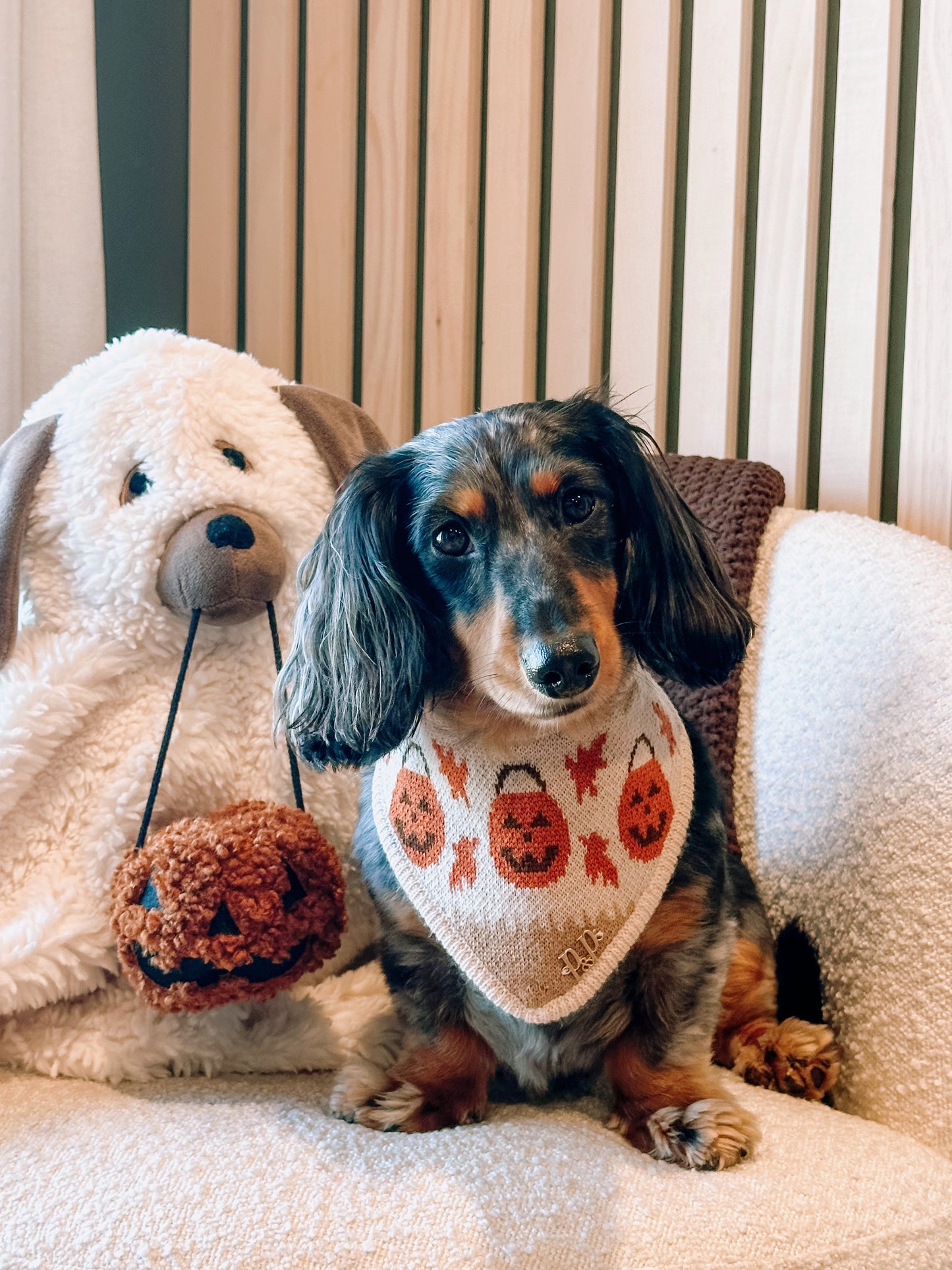 TRICKS FOR TREATS- Snap On Bandana