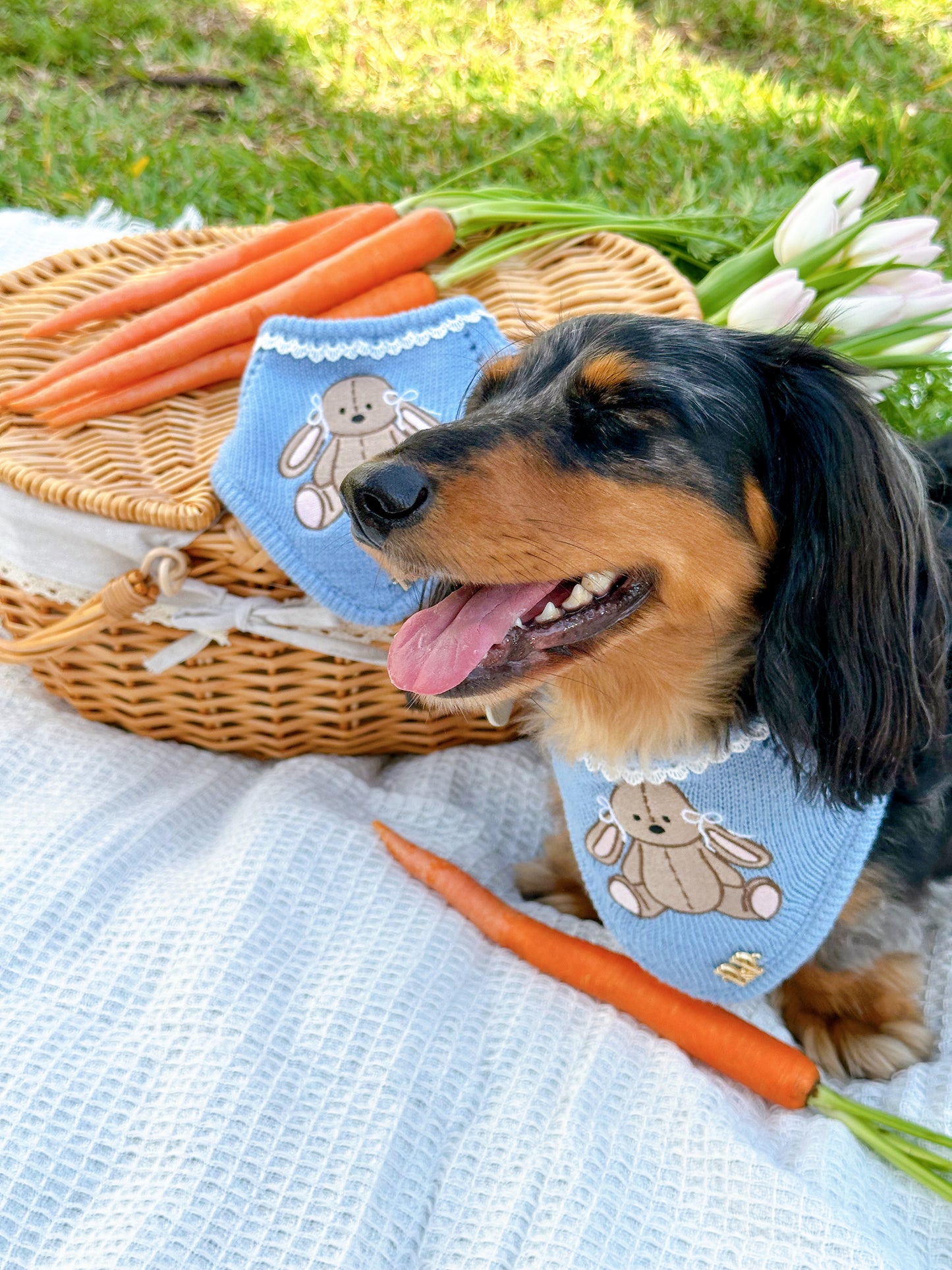 COTTON TAIL- Snap On Bandana
