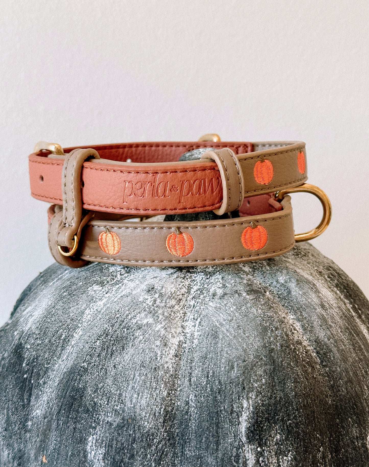 PUMPKIN SPICE- Vegan Leather Collar | Limited Edition