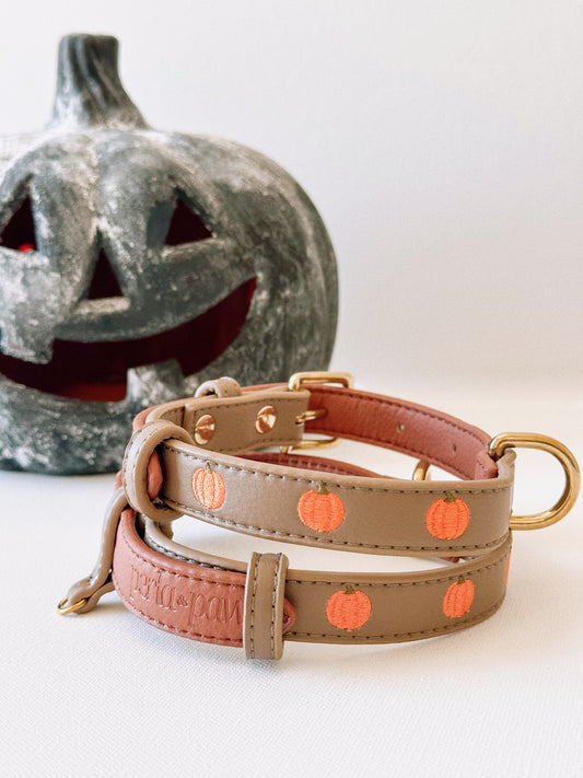 PUMPKIN SPICE- Vegan Leather Collar | Limited Edition