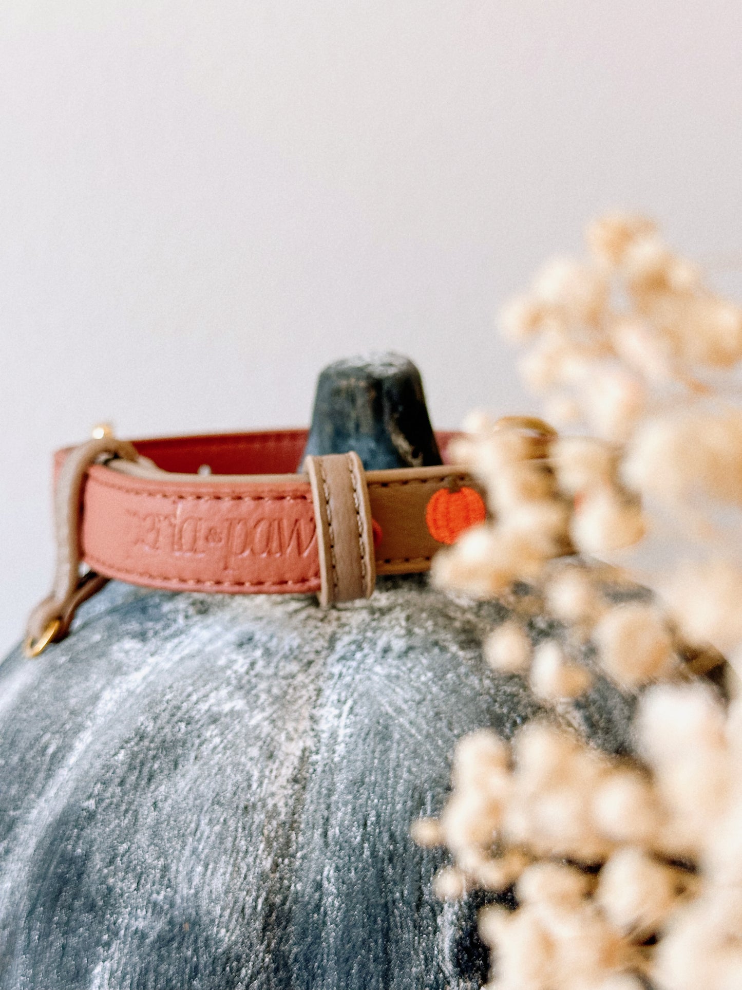 PUMPKIN SPICE- Vegan Leather Collar | Limited Edition
