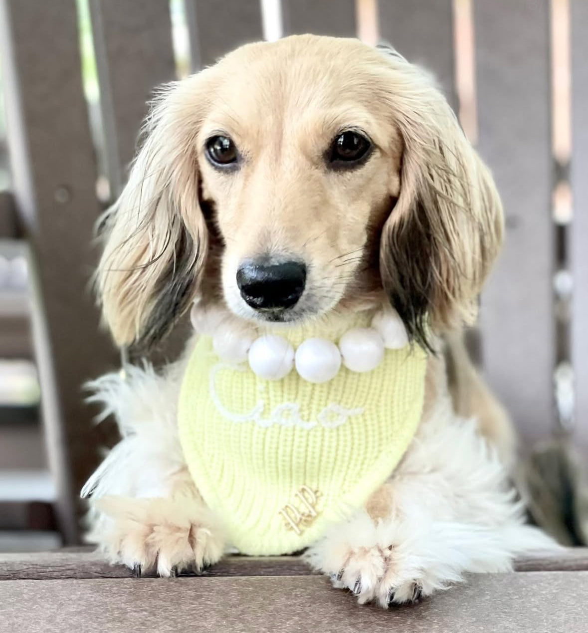 CIAO BELLA- Snap On Bandana