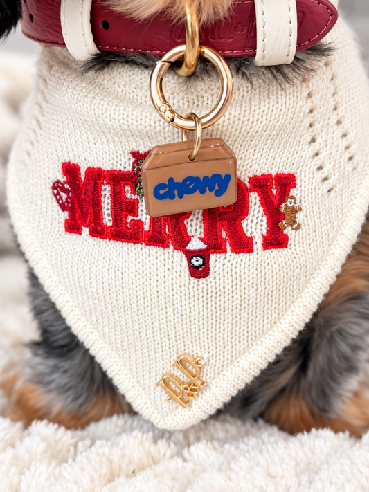 SPECIAL DELIVERY- Clay Pet ID Tag