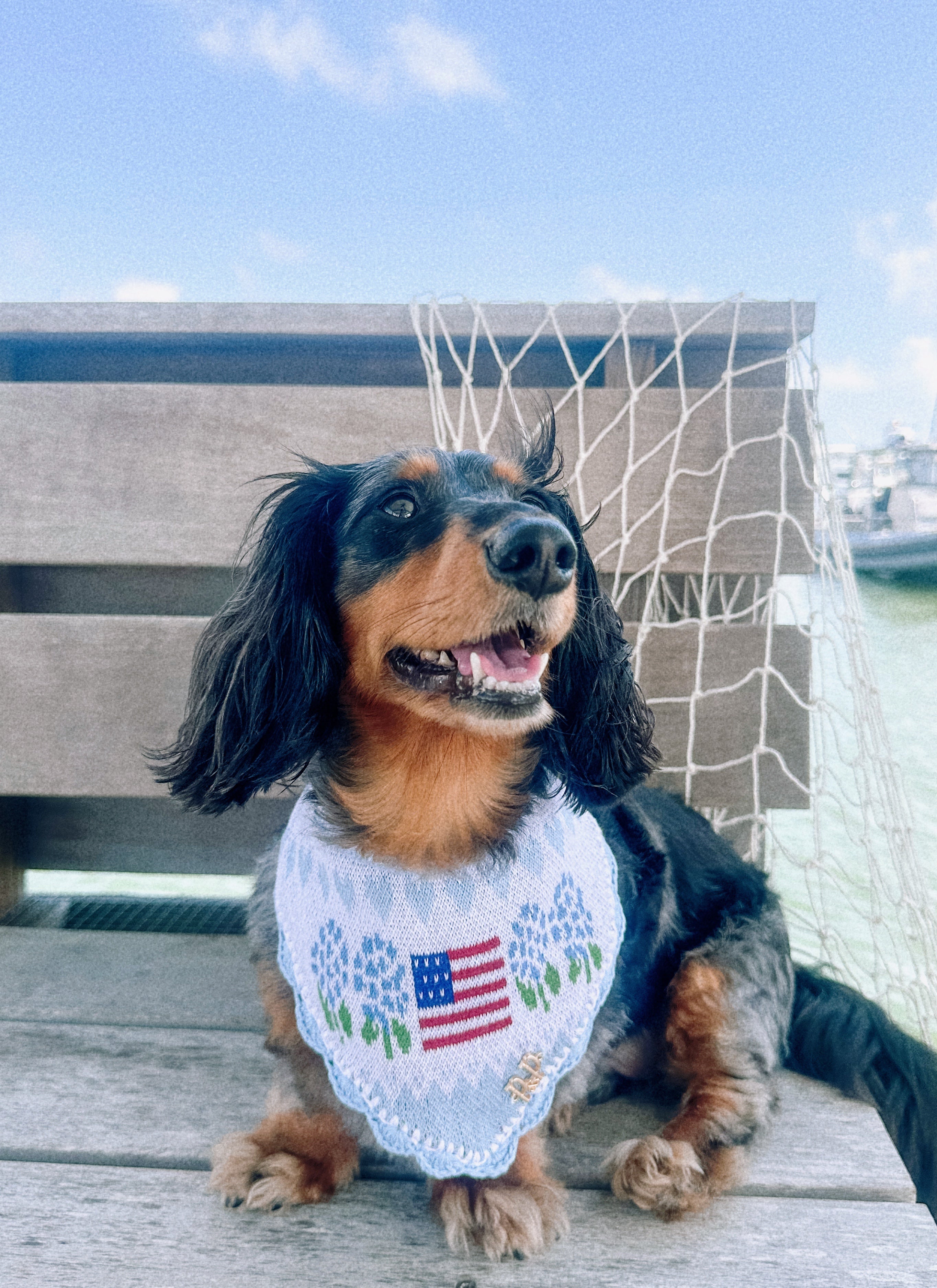 SWEET LIBERTY- Snap On Bandana – Perla & Paw