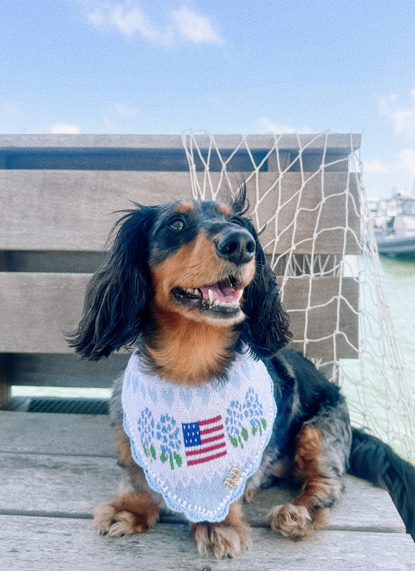 SWEET LIBERTY- Snap On Bandana