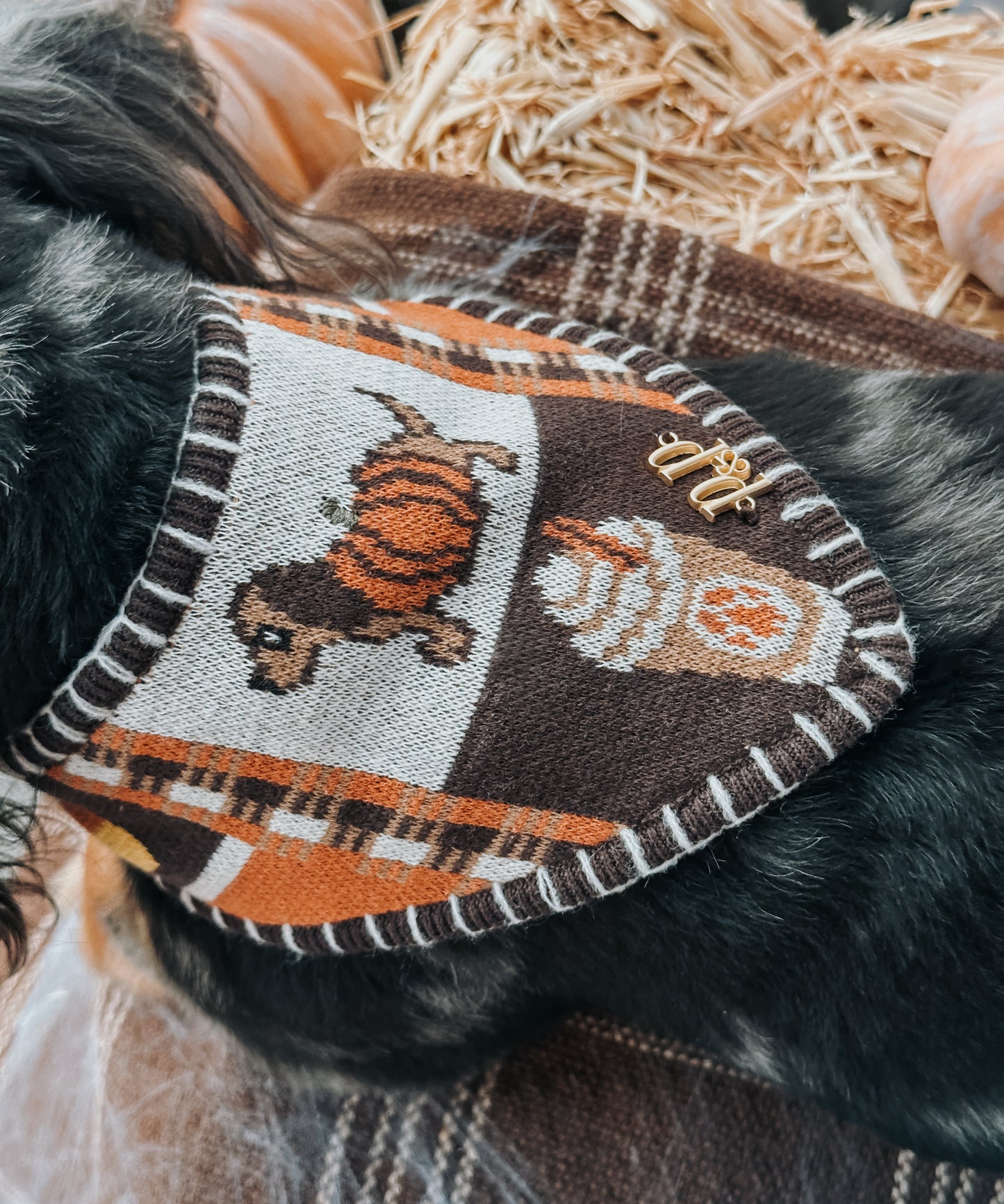 HOWELLS- Reversible Snap On Bandana.