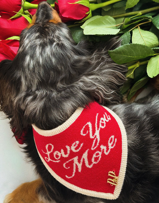 ILYM- Reversible Snap On Bandana