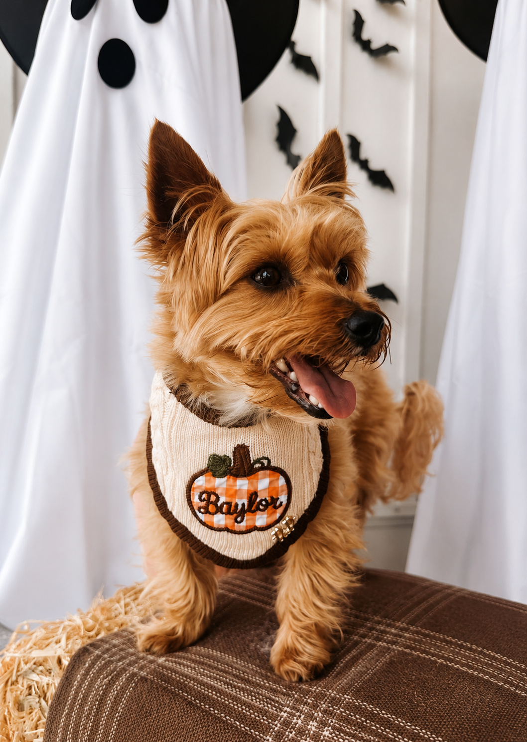 HARVEST- Snap On Bandana