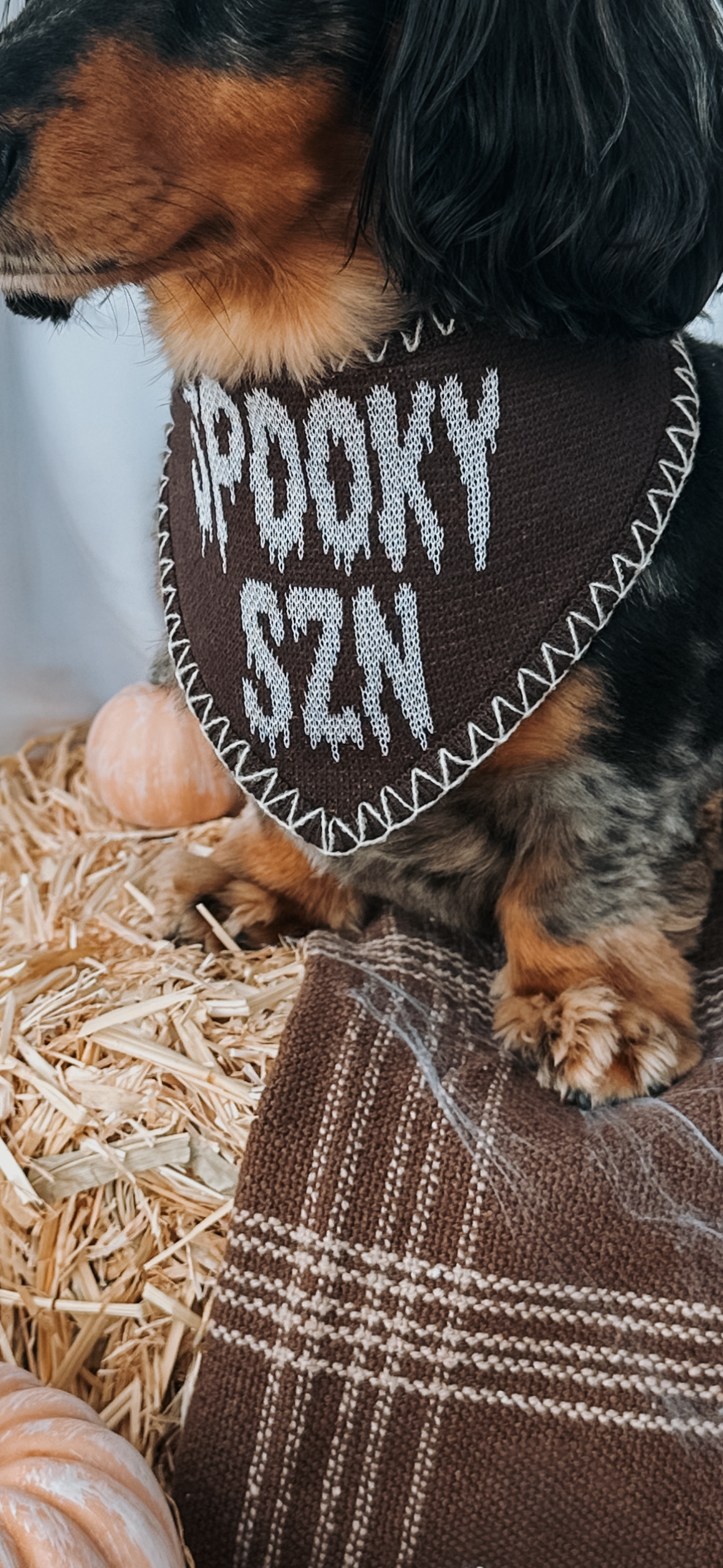 HOWELLS- Reversible Snap On Bandana.