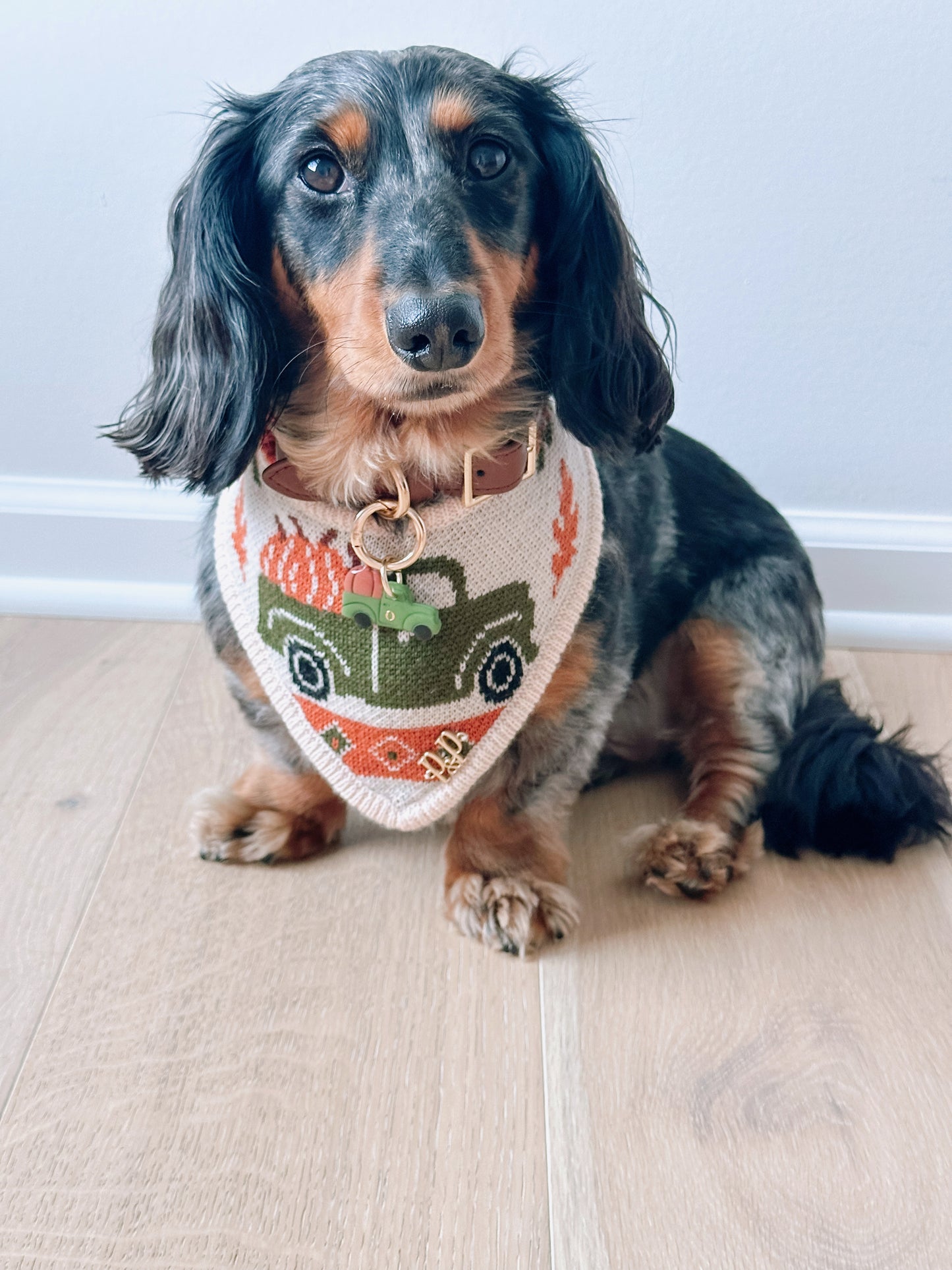 HOWELLS - Snap On Bandana