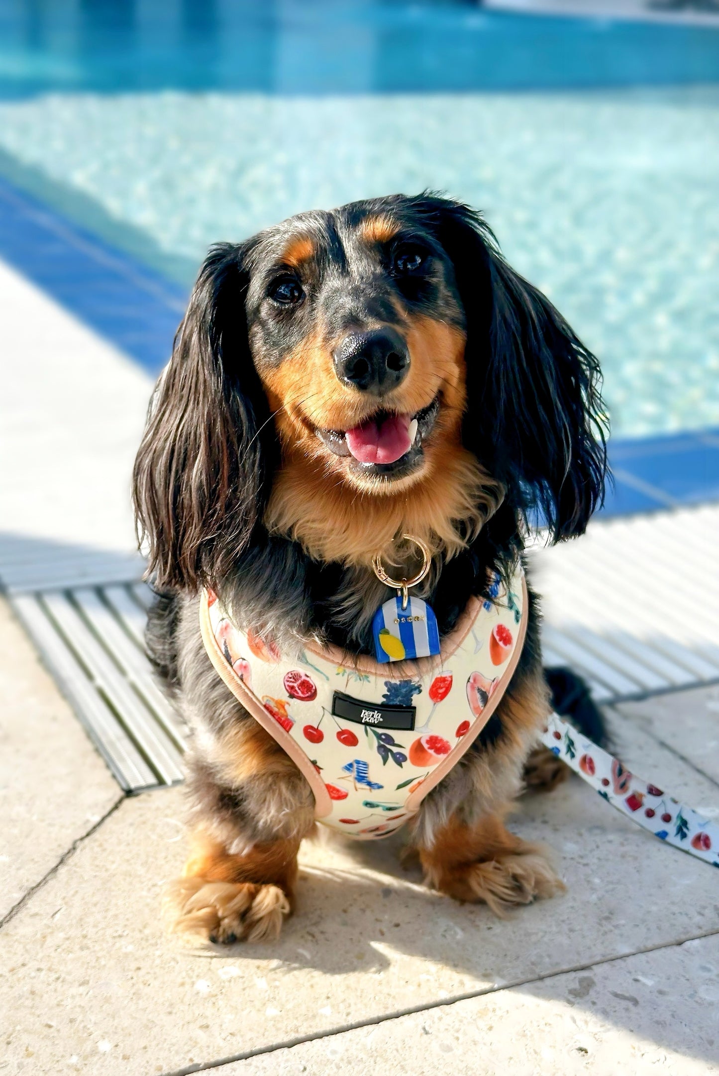 AMALFI- Harness Set