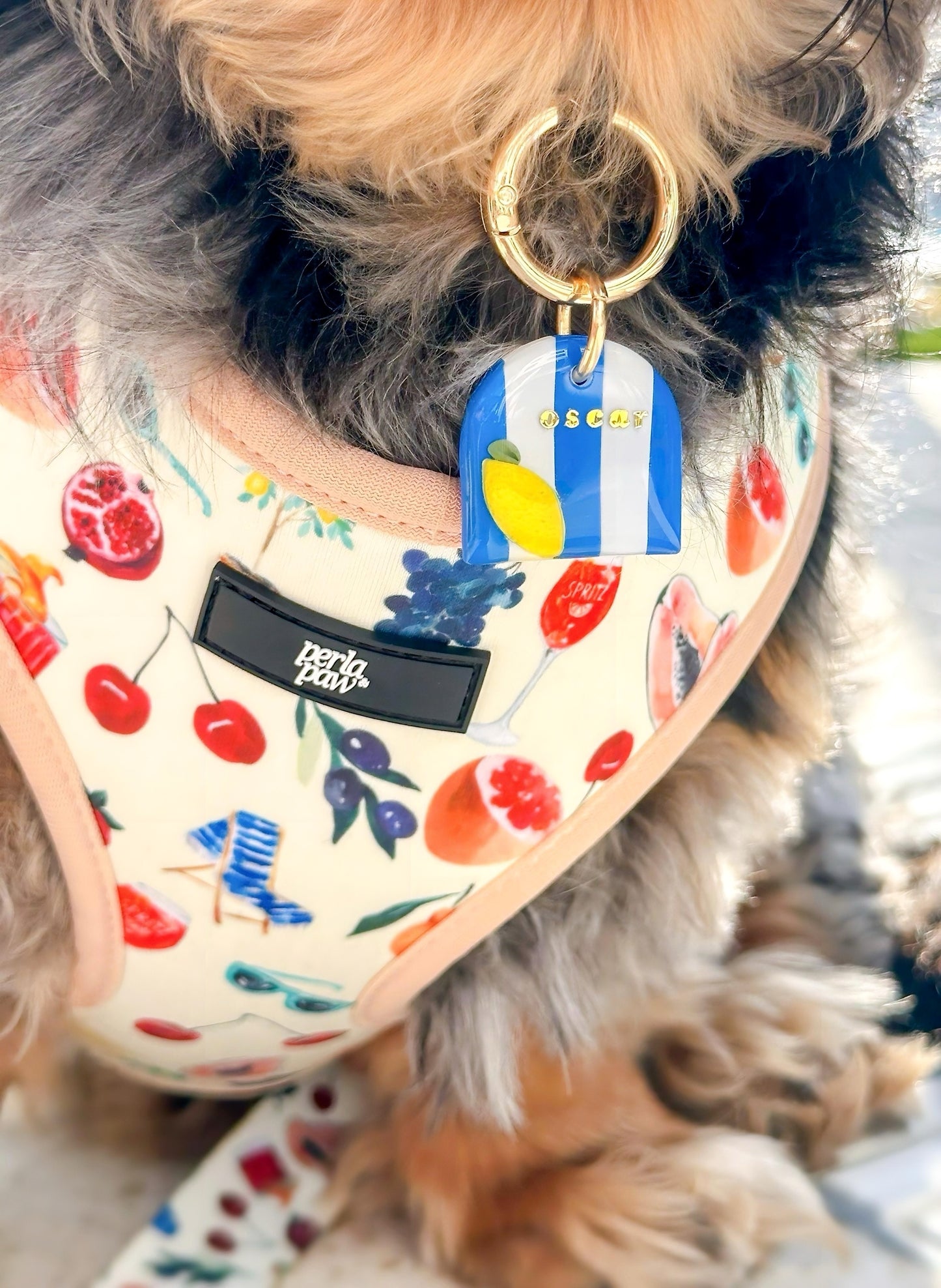 LIMONCELLO- Clay Pet ID Tag
